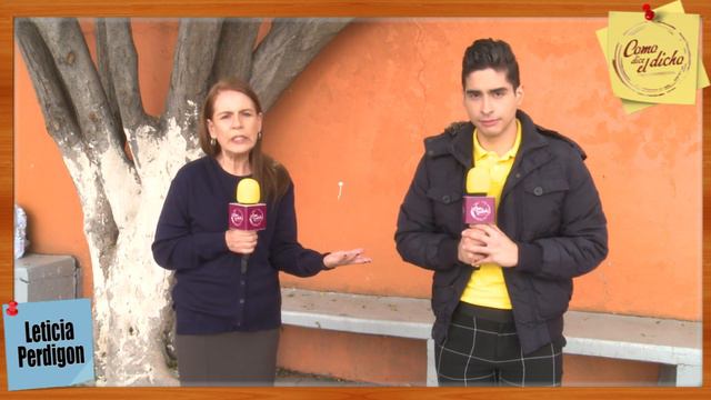 ENTREVISTA LETICIA PERDIGON COMO DICE EL DICHO смотреть онлайн