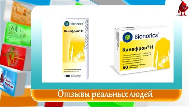 Канефрон отзывы