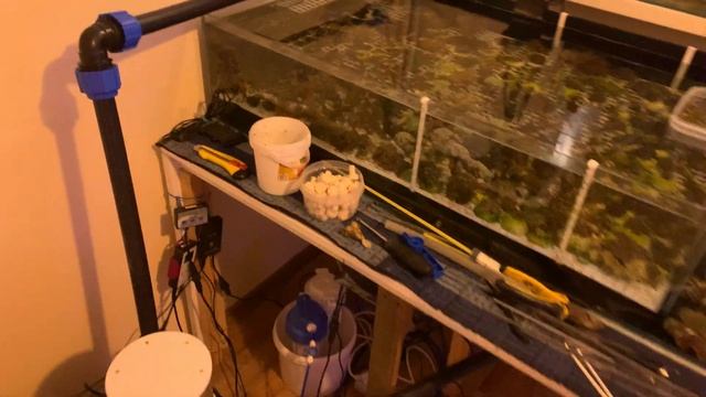 Передержка | Морской аквариум смотреть онлайн