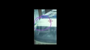 Шатунов жив. Расследование. Факты. 2