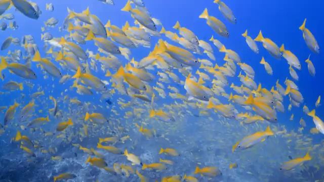 Нежная музыка ?Шум моря, шум моря для сна? успокаивает нервную систему и радует душу #9 смотреть онлайн