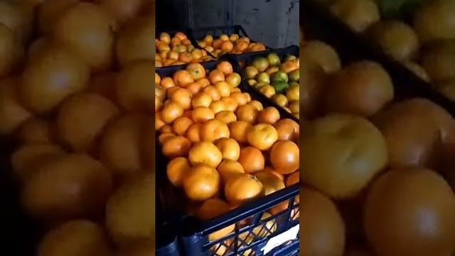 Мандарины от производителя смотреть онлайн