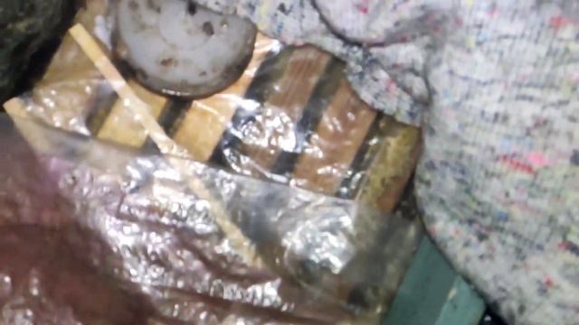 Готовимся к первому облету и выносу пчел на стационаре. 14/02/2022 г. смотреть онлайн