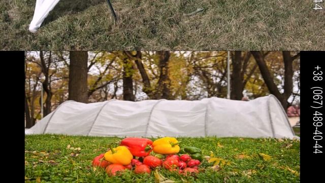 Отличный мини парник для рассады, доступный каждому! смотреть онлайн