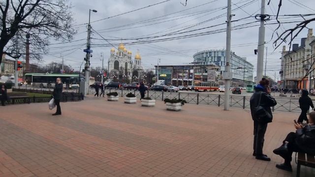 Из Германии в Россию.  Как мы живём и работаем.  Наша жизнь в Калининграде.