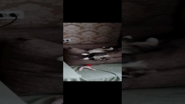 барин смотреть онлайн