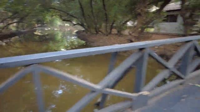 Готовка на Открытом Огне