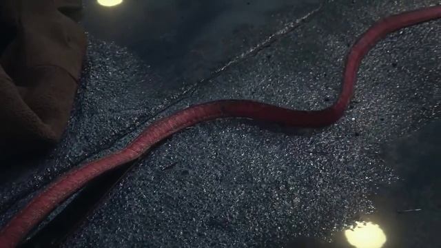 GHOSTWIRE TOKYO Spider - Trailer game (2023) 4K UHD смотреть онлайн