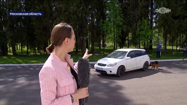Вести. Дежурная часть. В Подмосковье проходит чемпионат ФСИН по многоборью среди кинологов смотреть онлайн