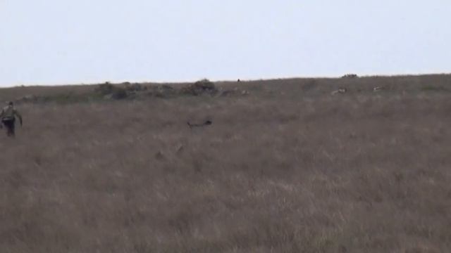 Идеал Пр 81 г. Стойка! Подводка! Дальность! Верность! смотреть онлайн