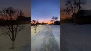 Профессор с чайником / ГАРДЕЙ И ИВАНЫЧ #россия #shortsvideo #рек #рекомендации #а4 #тренды #ютуб