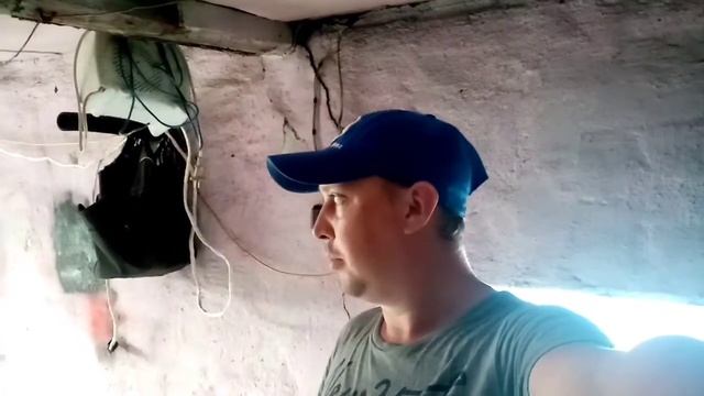 Nissan Bluebird U14|Замена волков|ФИАСКО с пленкой на крыше смотреть онлайн