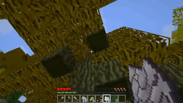 Новый сервер TerraFirmaCraft на проекте Amitelios. 1 серия смотреть онлайн