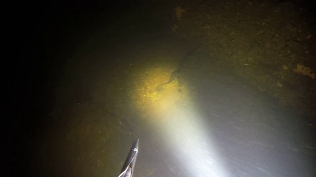 Подводная охота. Судак 4,5кг глубина 8-10м смотреть онлайн