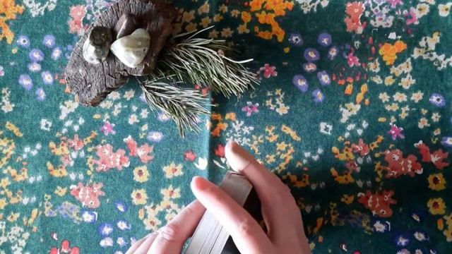 Falling off of the 'low buy/deep diving my decks year' wagon ? But which deck made me do it?! ? смотреть онлайн
