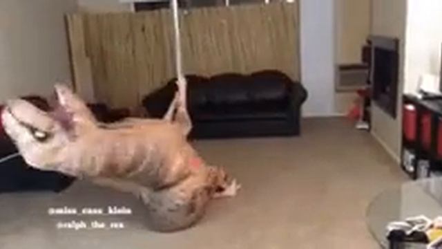 пов:моя мама в 19 лет #мем# mem смотреть онлайн