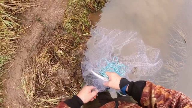 Рыбалка на кастинговую сеть в начале октября 2020. смотреть онлайн