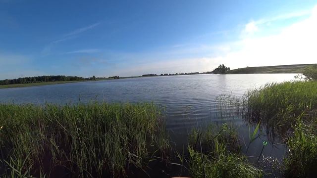 рыбалка на карася смотреть онлайн