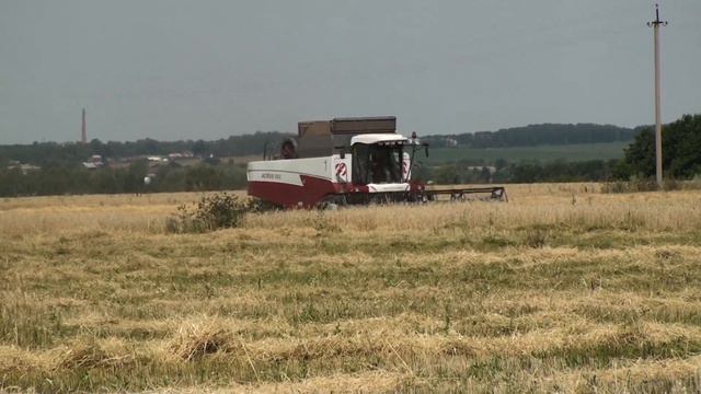 Жатва 2013. Уборка озимой ржи. смотреть онлайн