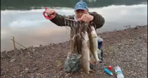 ПОЙМАЛ Я КАК ТО ПОЛОСАСТЫХ И ЗУБАСТЫХ И КЛЫКАСТЫХ