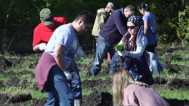 Коллектив Минлесхоза РБ посадил сосны на территории Альшеевского лесничества смотреть онлайн