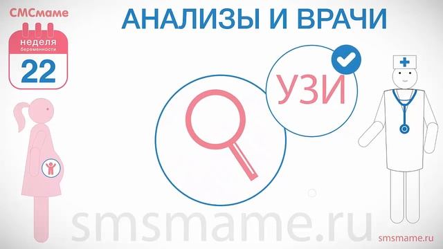 22 неделя беременности - развитие малыша, осмотр врача. смотреть онлайн