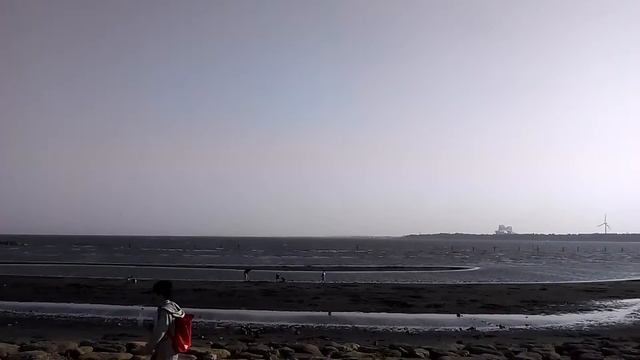 токийский залив 2015 смотреть онлайн