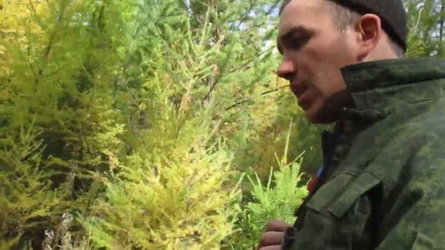 И.Н. Давидович о лесных зверях и птицах смотреть онлайн