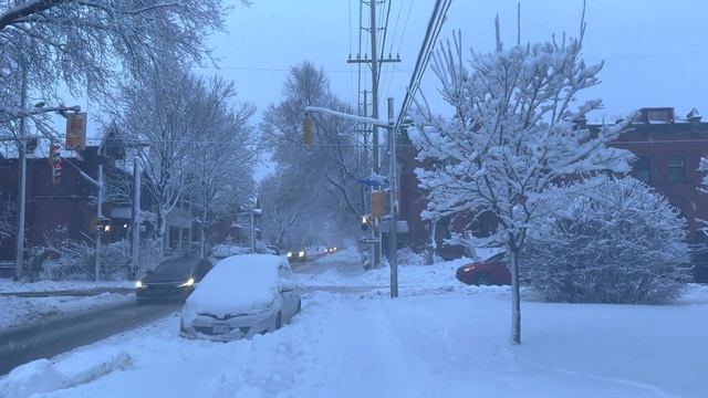 ❄️ Snowstorm in Canada ☃️ | 4K Ottawa City Walking Tour [4K Ultra HDR/60fps] смотреть онлайн