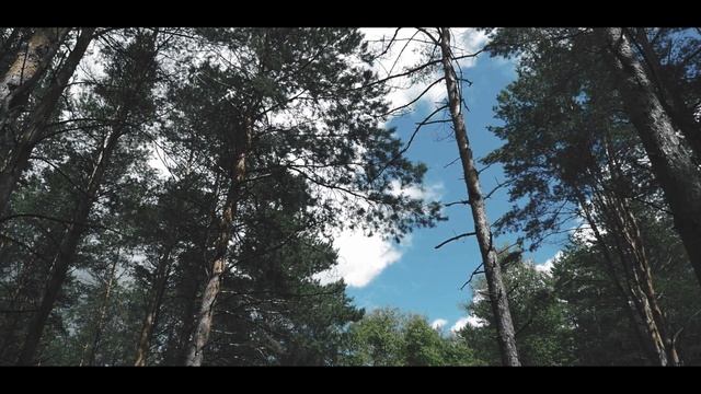 Богдан Ромни-Лживые люди смотреть онлайн