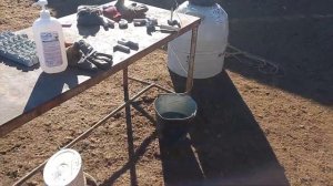 Таврация лошадей азотом