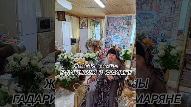 24. Проповеди батюшки Иоанникия. Про гадарян и самарян.