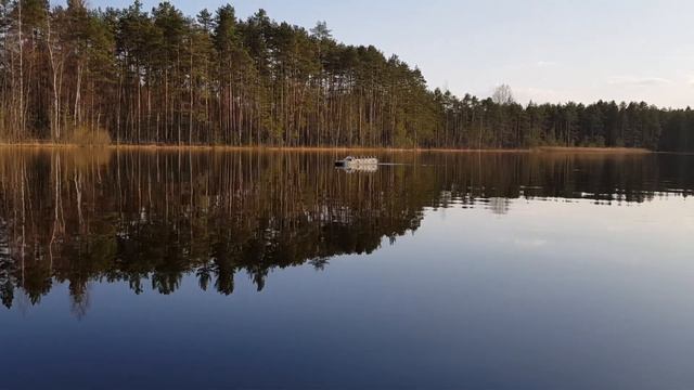 ЗИС 485 БАВ масштаб 1/16. смотреть онлайн