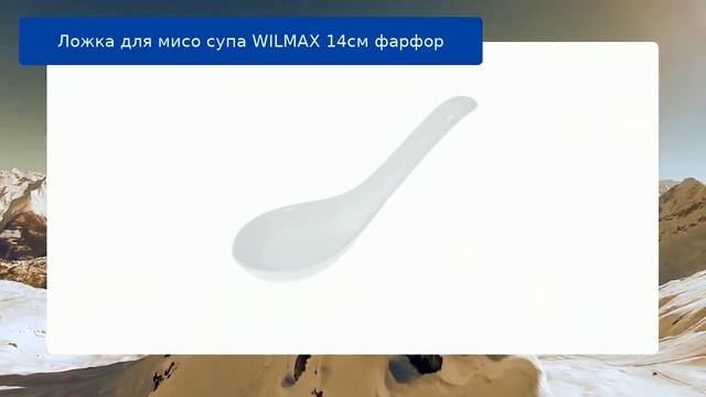 Ложка для мисо супа WILMAX 14см фарфор обзор