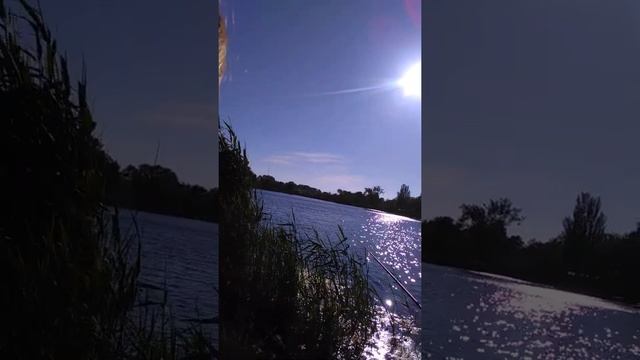 Рыбалка в Анапе клев(3) смотреть онлайн