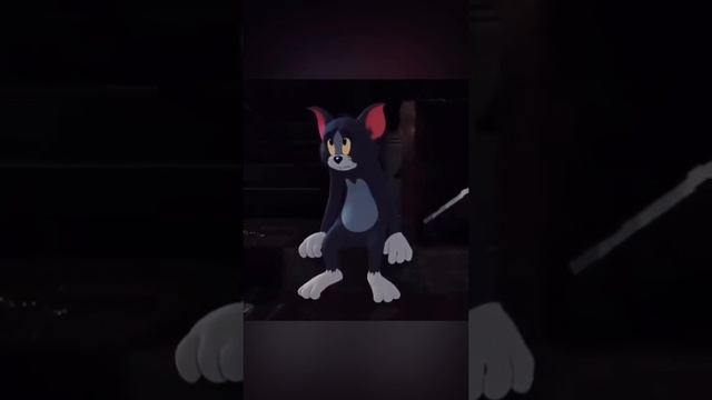 Котик. Душевно.