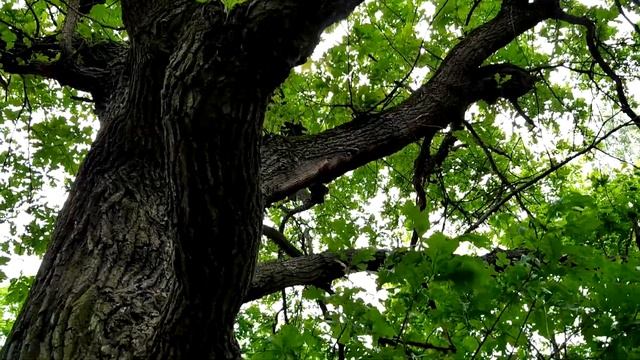 ???Усадьба Михалково в Москве смотреть онлайн