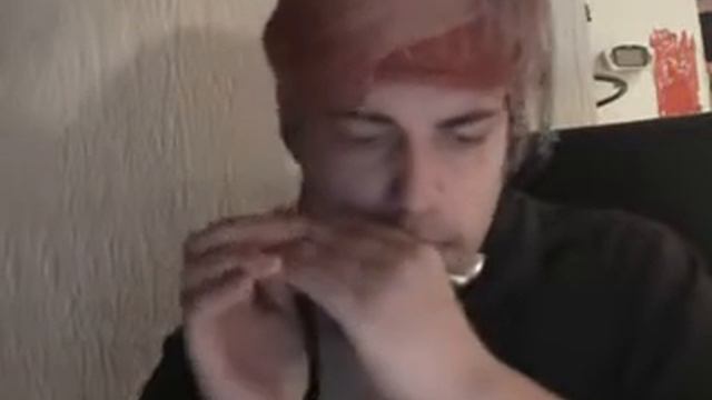 Harmonica - Education Sentimentale - Le Forestier смотреть онлайн