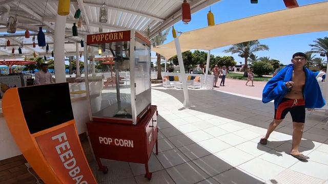 Бары с перекусом Desert Rose Resort 5*, Хургада, Египет смотреть онлайн