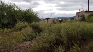 питбайк ролиз кросс 125