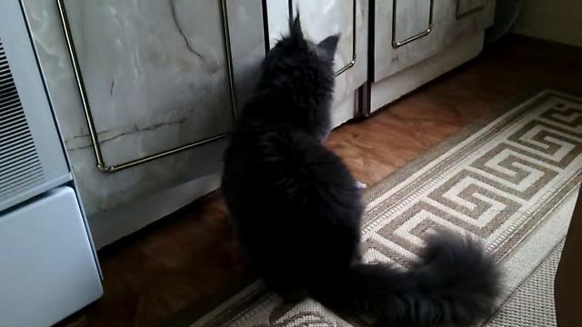VID 20150523 130346 смотреть онлайн