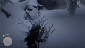 Как найти легендарного БИЗОНА в RDR 2