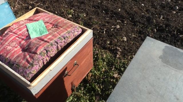 зимовка пчёл проверяем вентиляцию ульев 23 декабря. смотреть онлайн