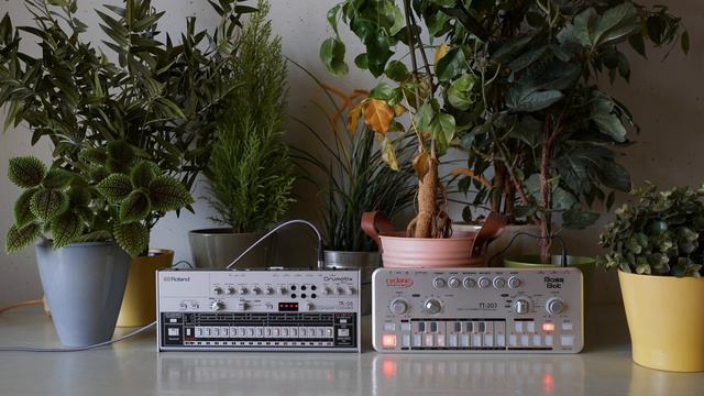 Snot Monkey - Acid 036 (Cyclone Analogic TT-303, Roland TR-06, JU-06A) (slow, dubby acid) смотреть онлайн