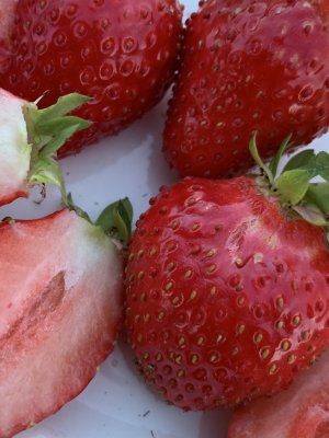 Дегустация ягоды.Клубника сорт Лючия,Люция.Вкус просто космос,ягода бомба.#клубника #сорт #ягода