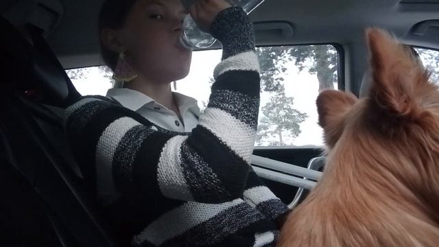 еду на дачу 5 часть смотреть онлайн