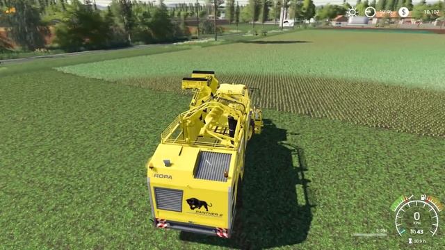 Harvesting onions with ROPA Panther 2 | Osiek Farm | Farming simulator 19 | Timelapse #24 смотреть онлайн