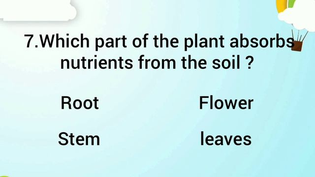 Parts of the plant Questions & Answers / Plant Quiz for kids / Questions about functions of parts смотреть онлайн