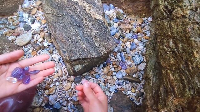 A 10-year-old huge golden river shell. I'm rich now! смотреть онлайн