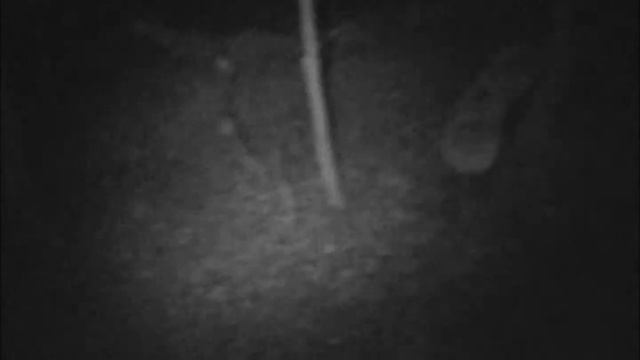 OldAltonBridge010614 смотреть онлайн